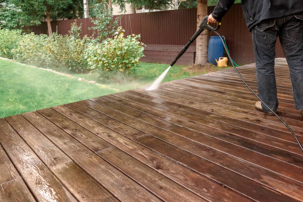 Best Solar Panel Cleaning  in Lake City, AR